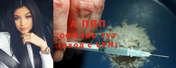 стаф Богданович